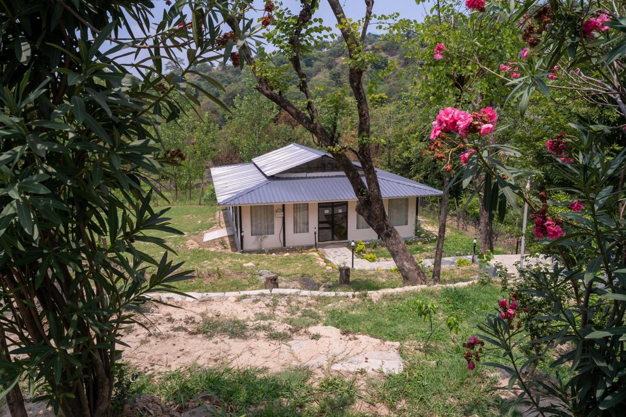 Dev Bhoomi Farms & Cottages دارامشالا المظهر الخارجي الصورة